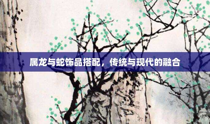 属龙与蛇饰品搭配，传统与现代的融合