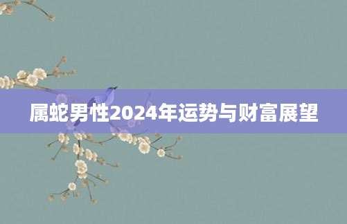 属蛇男性2024年运势与财富展望